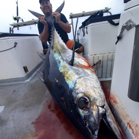 Southern Bluefin Tuna caught on secret downrigger rigger by Marc White off St. Frances South Africa