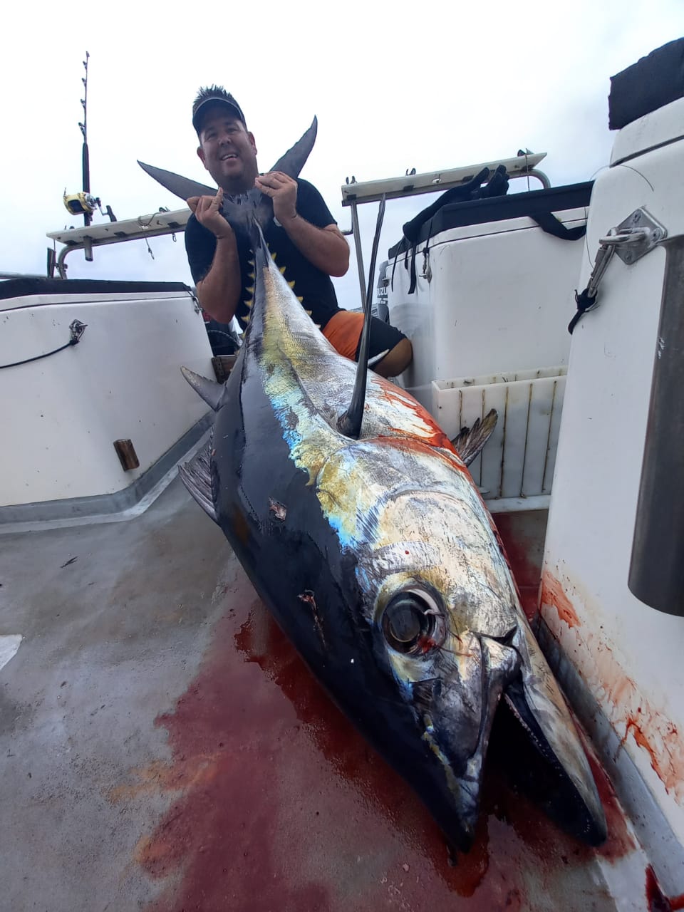 MYDO Bluefin Tuna Spread - Image 3